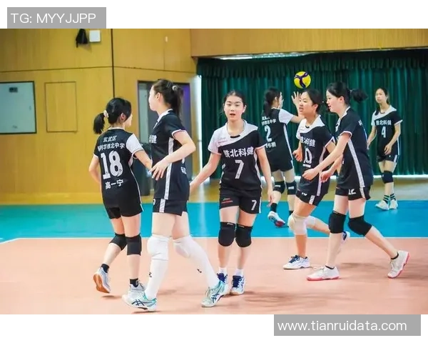 南京排球队的辉煌崛起与钻石联赛的精彩旅程